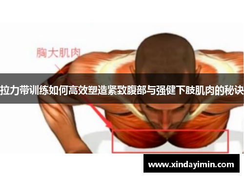 拉力带训练如何高效塑造紧致腹部与强健下肢肌肉的秘诀